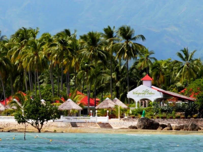 วิสเพอริ่งปาล์มไอส์แลนด์รีสอร์ท บาโคลอด ภายนอก รูปภาพ